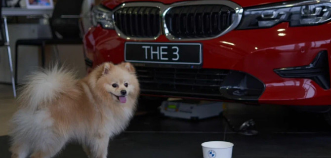 Российский авторитейл поддерживает развитие культуры pet-friendly