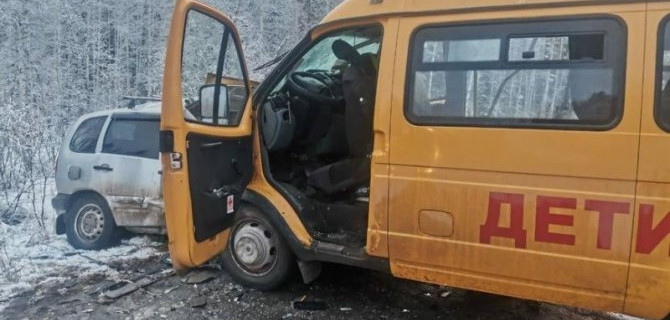 7 детей пострадали в ДТП с микроавтобусом в Иркутской области