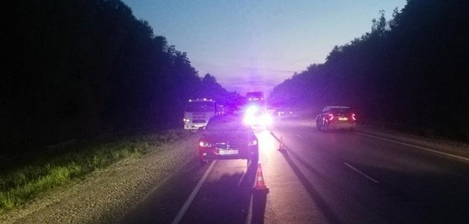 В Марий Эл девушка на BMW сбила лося