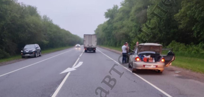 В Плавском районе в ДТП с лосем пострадал подросток