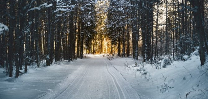 Гонки на мотобуксировщиках
