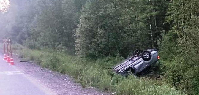 В ДТП с лосем в Новгородской области погиб водитель иномарки