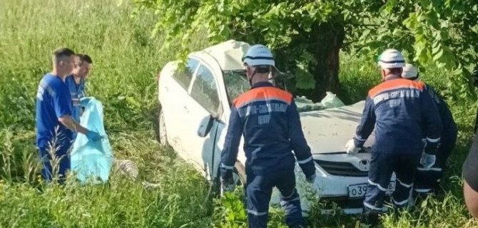 Под Пензой автомобиль врезался в дерево – погибла женщина