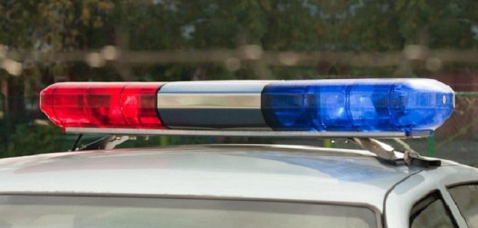 Мужчина и двое детей погибли в ДТП в Новгородской области