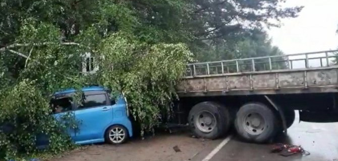 Два человека погибли в ДТП с грузовиком под Ангарском