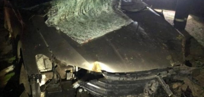 Два человека пострадали в ДТП с лосем в Тверской области