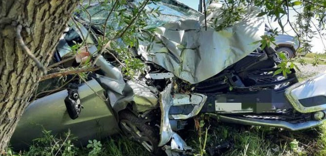 В Новосибирской области «Лада» врезалась в дерево – водитель погиб