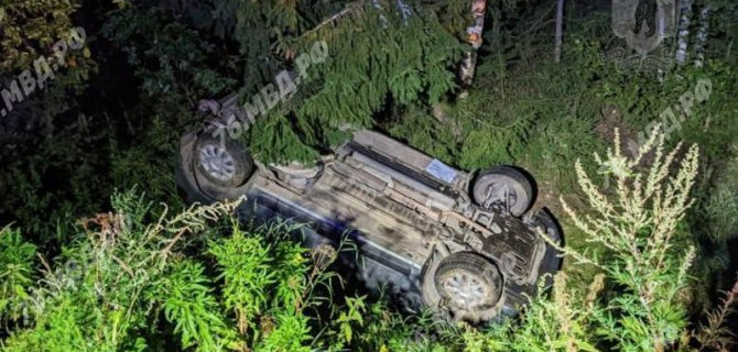 Автомобиль вылетел в кювет после ДТП с лосем в Рыбинском районе