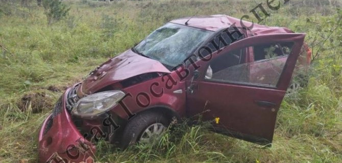 Два человека пострадали по вине пьяного водителя в Тульской области