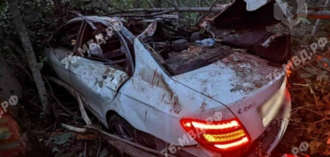 В ДТП с лосем в Ярославской области погибла 22-летняя девушка