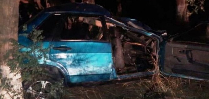 Два молодых человека погибли в ДТП с лошадью в Ставропольском крае