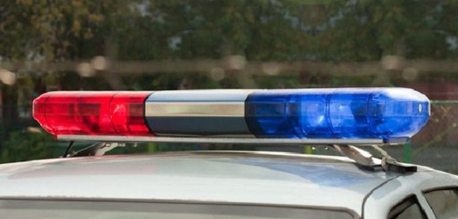 В Смоленской области мужчина пострадал в ДТП с лосем