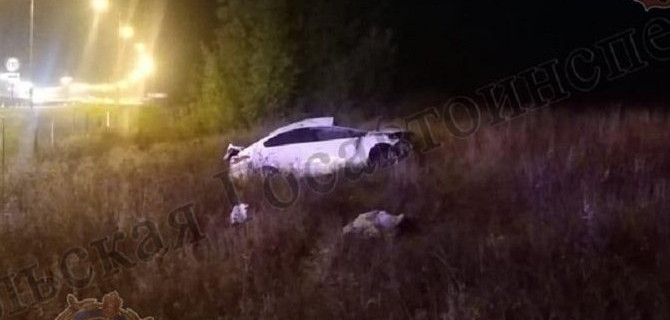 23-летняя девушка погибла в ДТП в Веневском районе Тульской области