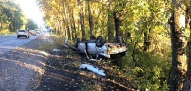 В Кузбассе водитель без прав врезался в дерево и погиб