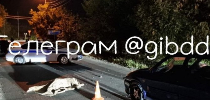 В Минеральных Водах ВАЗ насмерть сбил пешехода