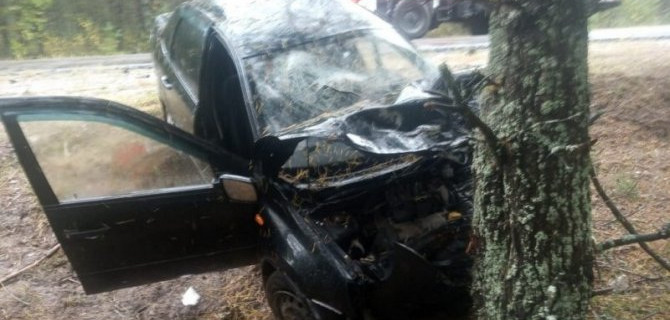 В Брянской области «Лада» врезалась в дерево – водитель погиб