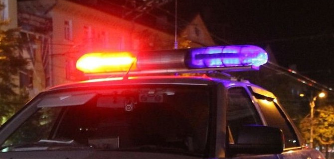 Водитель погиб в ДТП с лосем в Костромской области