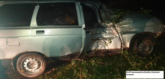 В Марий Эл водитель бросил раненного в ДТП пассажира