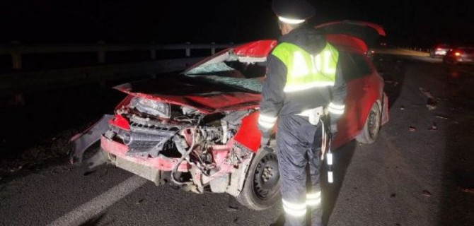 Два человека пострадали в ДТП с лосем в Свердловской области