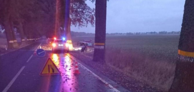 В Правдинском районе автомобиль врезался в дерево – пострадали трое