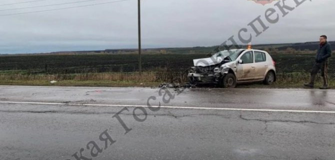 Трое взрослых и двое подростков пострадали в ДТП под Новомосковском