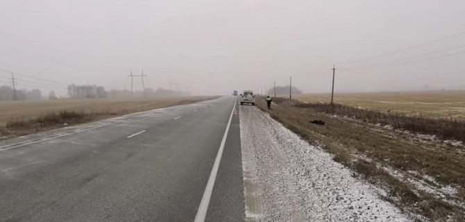 Под Новосибирском водитель насмерть сбил пешехода и скрылся