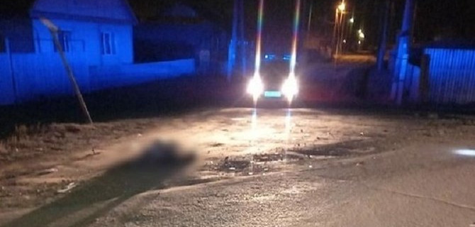 В Иркутской области автомобиль сбил мать с сыном – женщина погибла