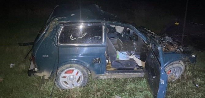 В Ставрополье водитель «Нивы» погиб из-за вышедшей на дорогу коровы