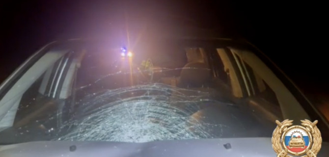 В Башкирии иномарка насмерть сбила пожилую женщину-пешехода