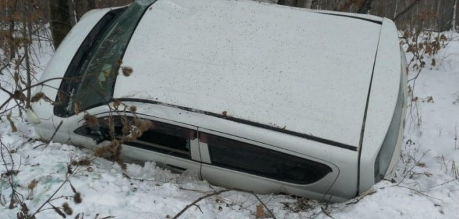 Автомобилистка, не имеющая прав, попала в ДТП в Приморье. Машина врезалась в дерево, пострадали двое