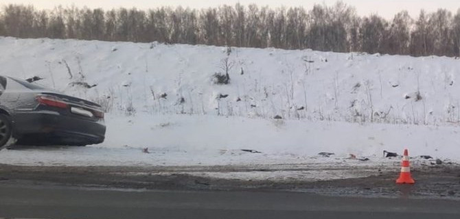 На трассе «Сибирь» столкнулись две иномарки, погибли два человека