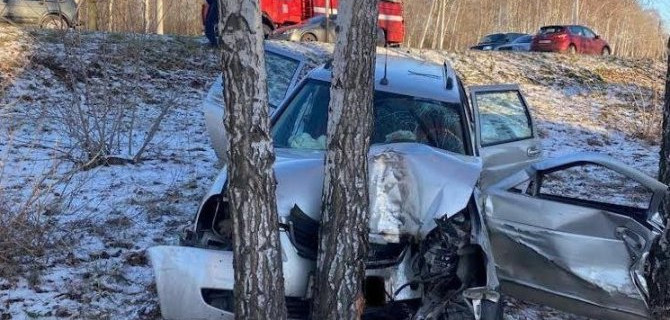 В Воронежской области «Лада», съехав в кювет, врезалась в дерево. В ДТП погибла пассажирка