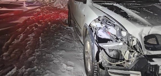 В Югре BMW насмерть сбил оленя