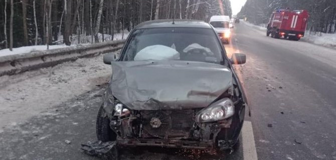 В Татарстане ВАЗ сбил выбежавшего на дорогу лося, а затем столкнулся с "Ладой"