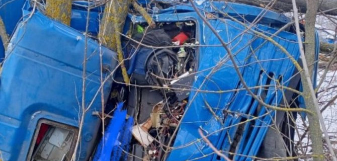 В Воронежской области КамАЗ съехал в кювет и врезался в дерево, водитель погиб