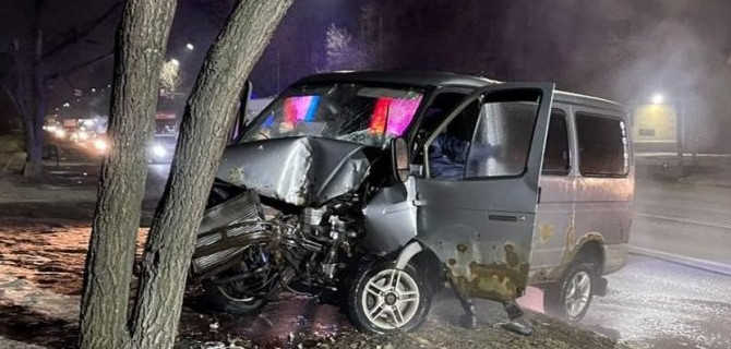 В Воронеже «Соболь» врезался в дерево, пострадали водитель и пассажирка