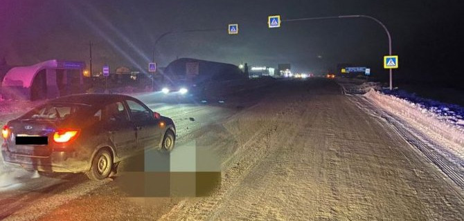 В ДТП на трассе в Новосибирской области погиб пешеход