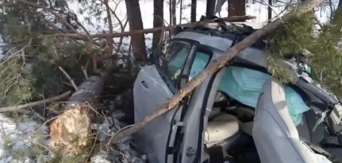 «Порше» опрокинулся в кювет под Тюменью, погибли девушка и собака
