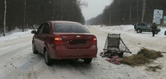 В Башкирии в ДТП с иномаркой и гужевой повозкой пострадали двое