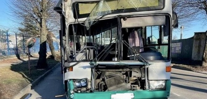 В Калининграде автобус врезался в дерево, пострадала кондуктор