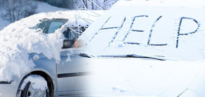 "Китайцы" пережили зиму – не без претензий