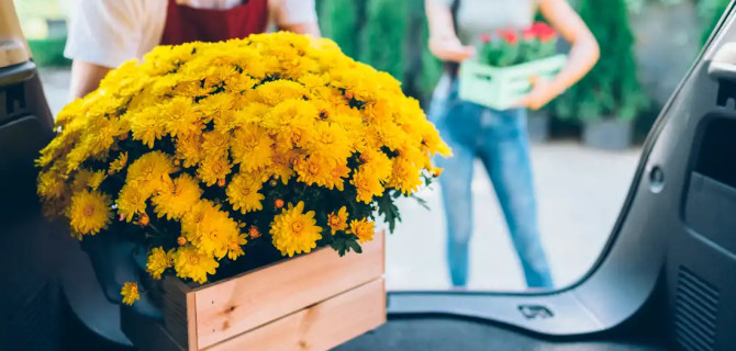 авто для цветов