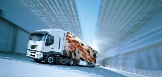 Как выбрать подрядчика: на что смотреть при найме перевозок машинами-рефрижераторами, чтобы не получить «термос» вместо холодильника