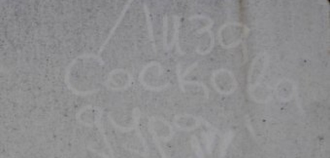 "Лиза Соскова дура!" - пальцевая живопись наших дней