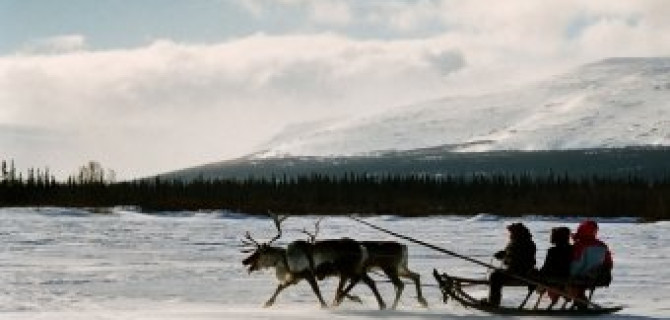 Снегоходам в тундре нашли замену