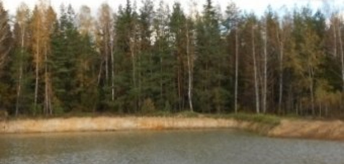 Под Санкт-Петербургом в пожарном водоеме утонул ВАЗ вместе с пассажирами