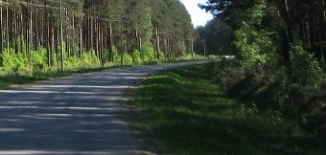 Пьяное ДТП под Всеволожском: два пассажира погибли