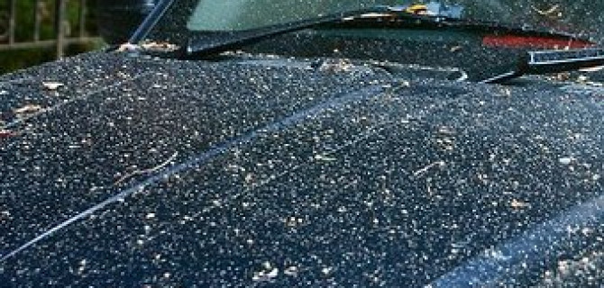 В Красноярске строители покрасили 20 автомобилей, но "без злого умысла"