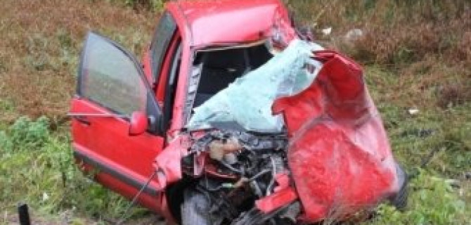 Под Псковом в лобовом столкновении погибли два человека