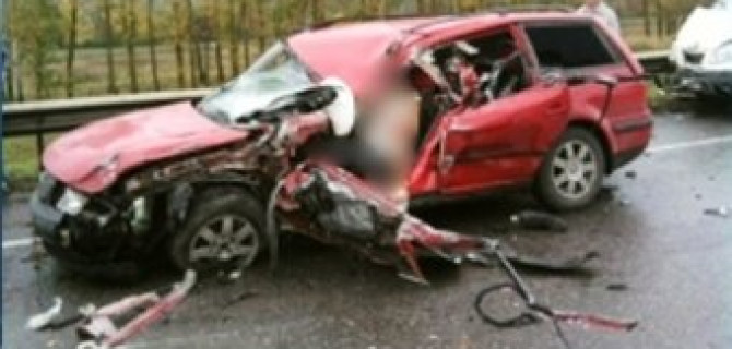 Под Пензой из-за кабана в ДТП пострадали пять человек